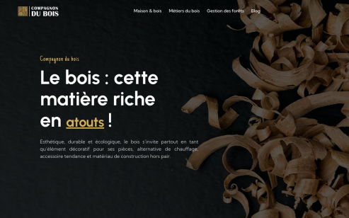 https://www.compagnon-du-bois.com